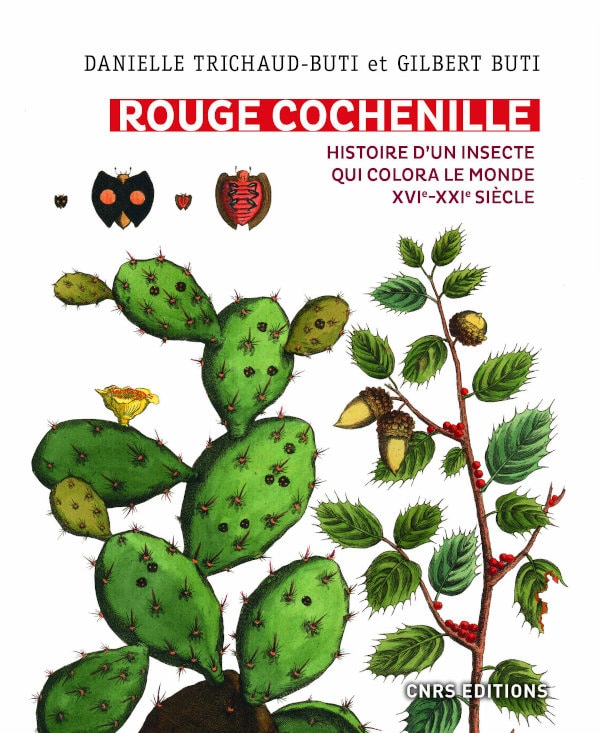 Rouge Cochenille Histoire d’un insecte qui colora le monde XVIe-XXIe siècle