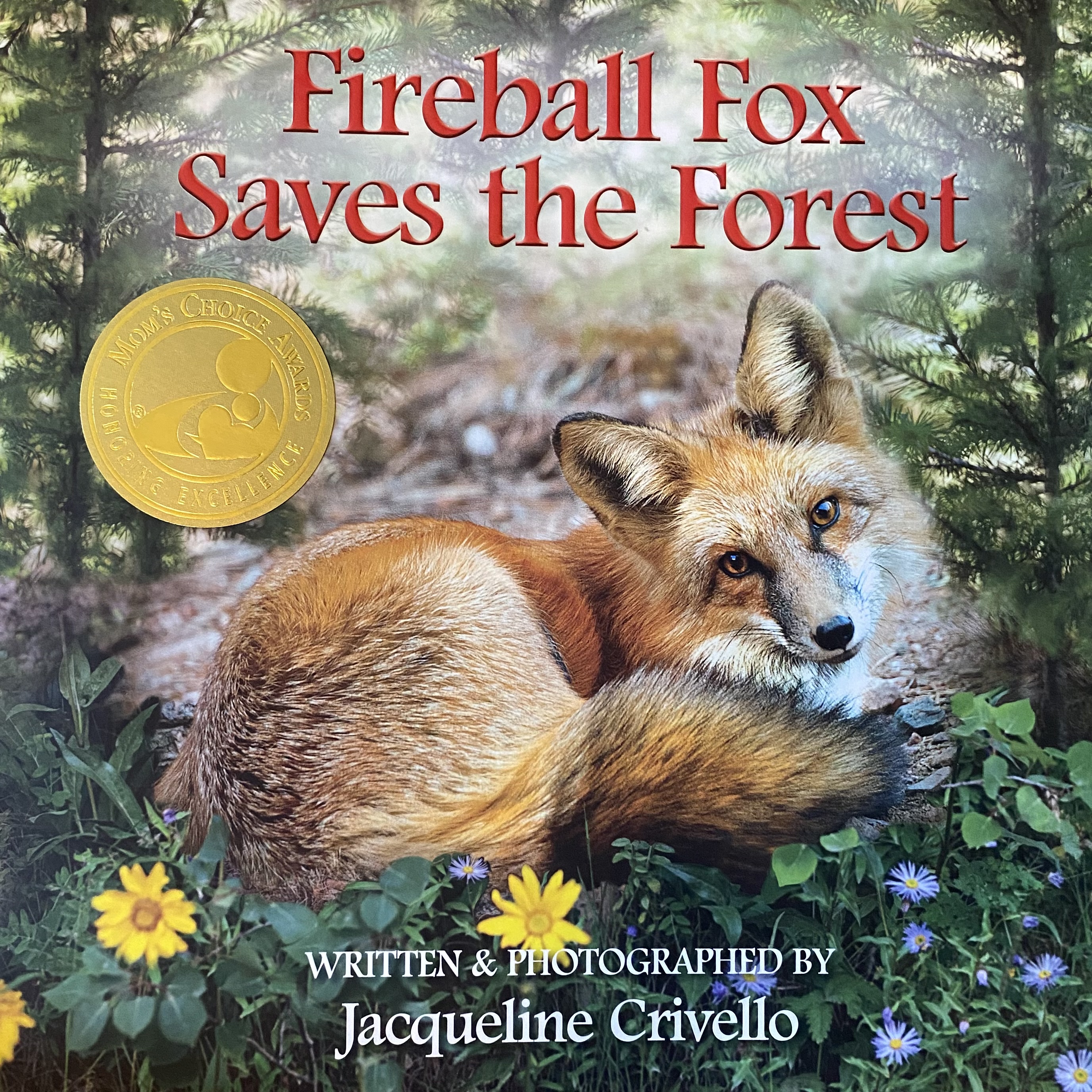 Fireball Fox Saves the Forest (Hardcover)