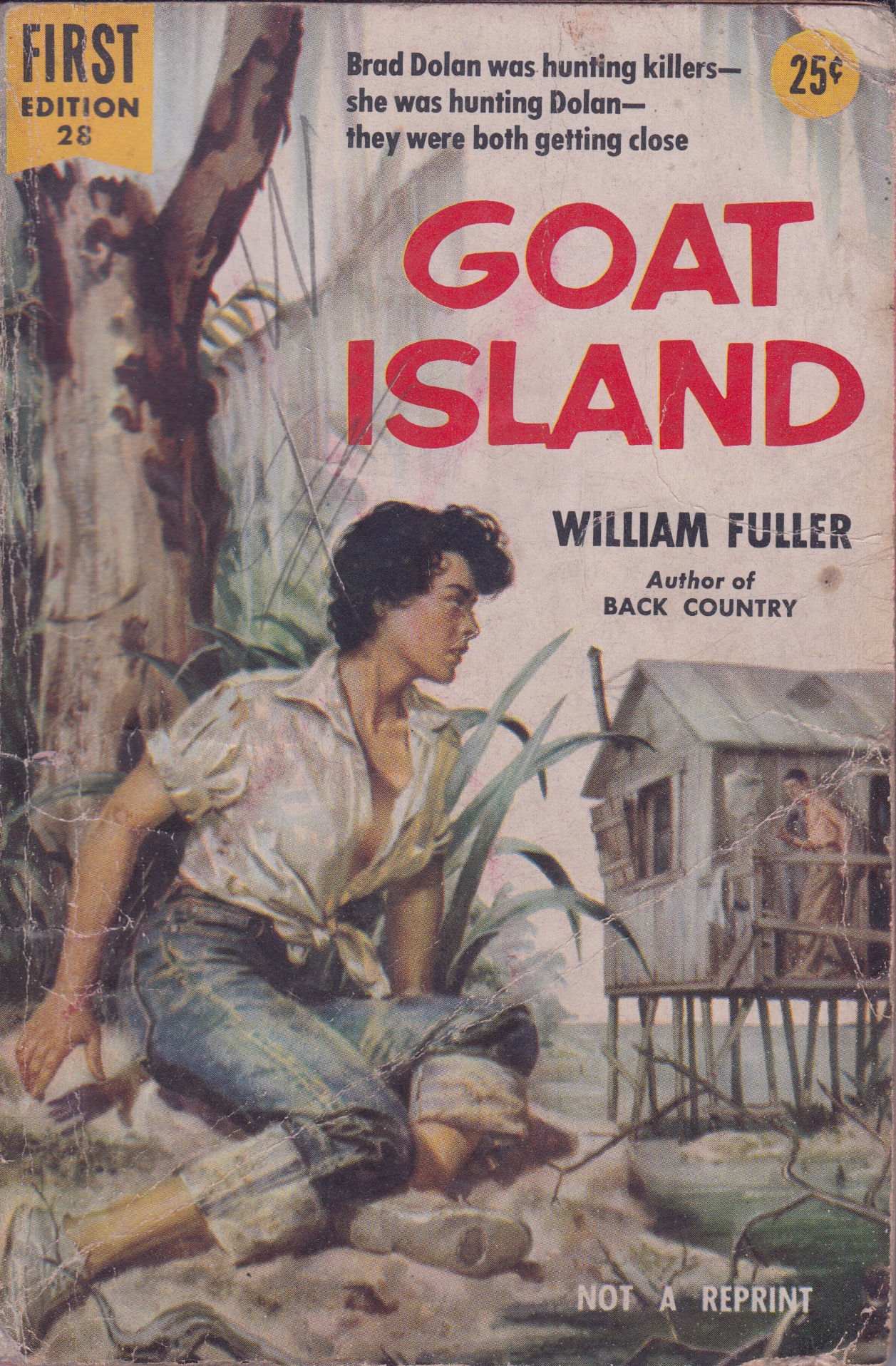 Goat Island (Paperback)