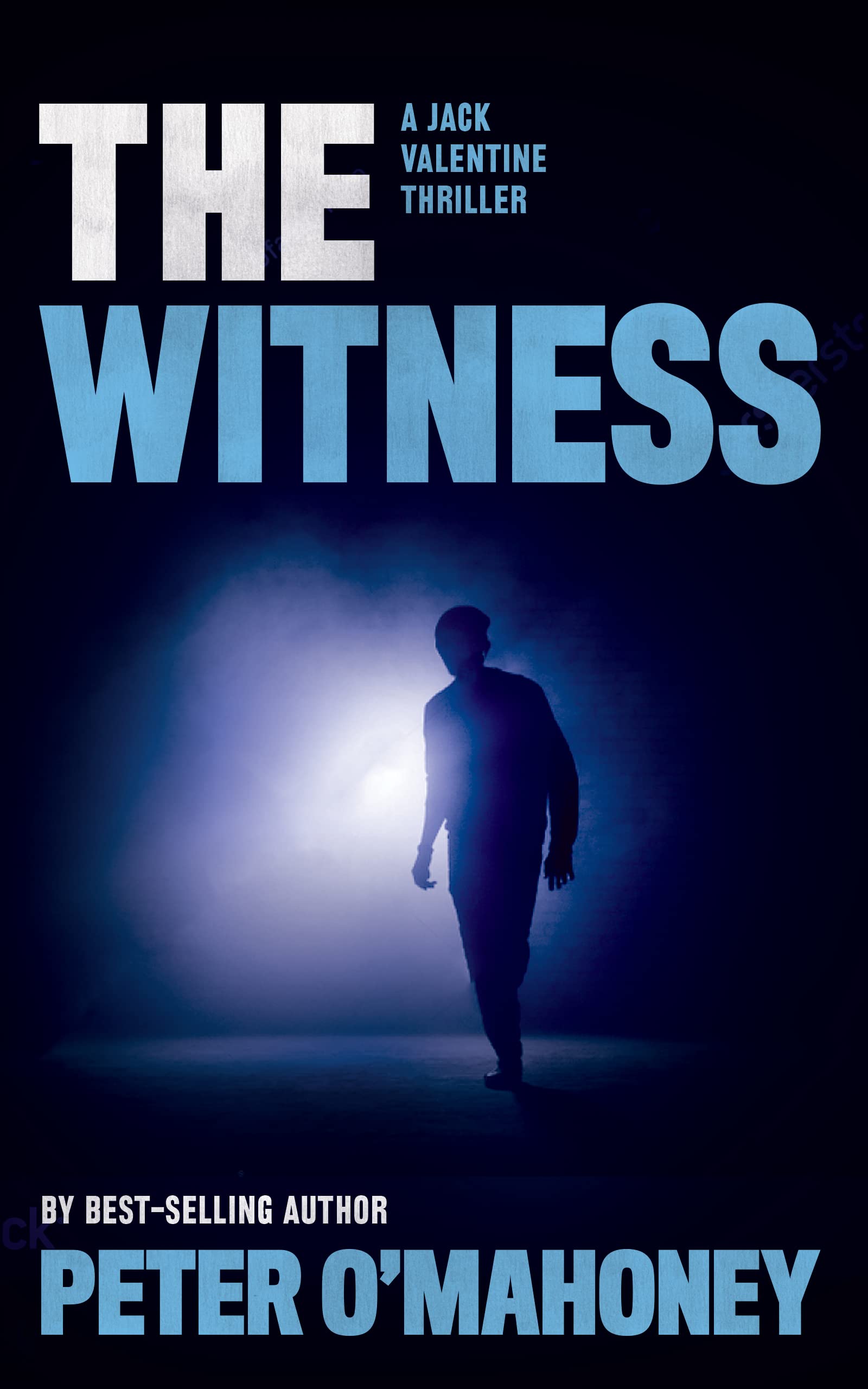 The Witness (Jack Valentine Mystery Thrillers #5)