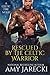 Rescued by the Celtic Warrior by Amy Jarecki