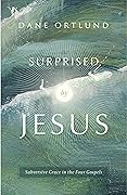 Surprised by Jesus: Subversive grace in the four Gospels