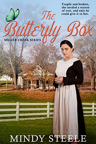 The Butterfly Box (Miller Creek #2)