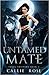 Untamed Mate (Feral Shifters #2)