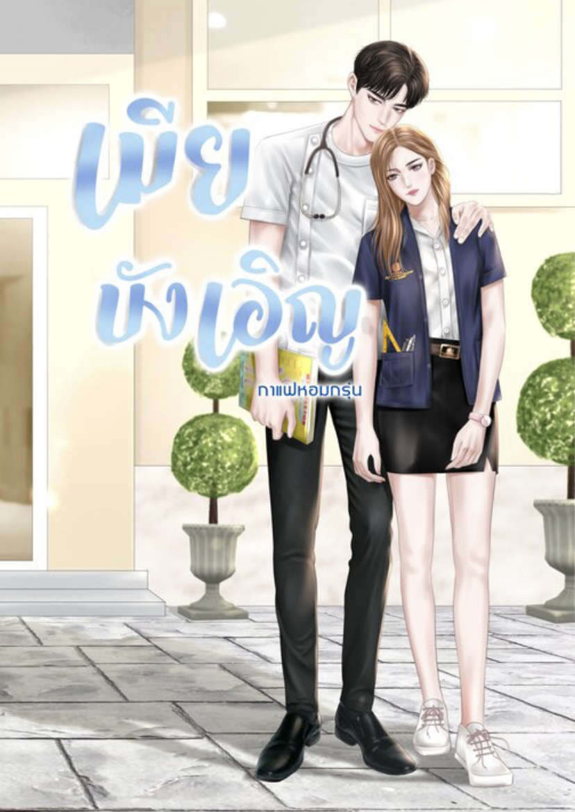 เมียบังเอิญ (ebook)