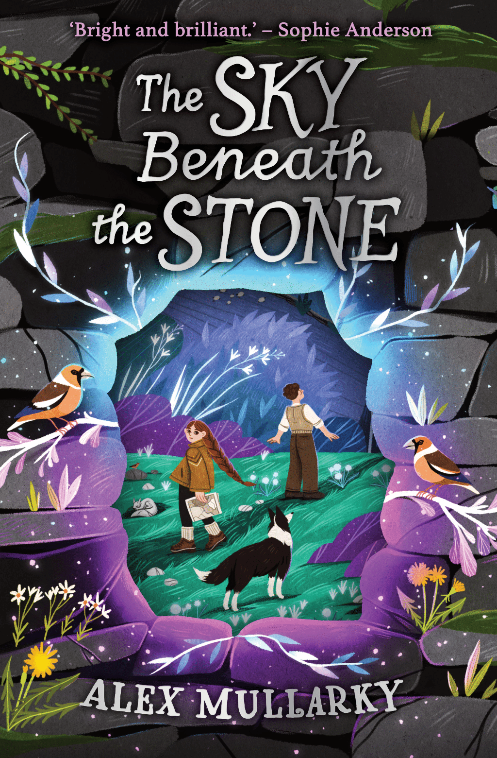The Sky Beneath the Stone (Paperback)