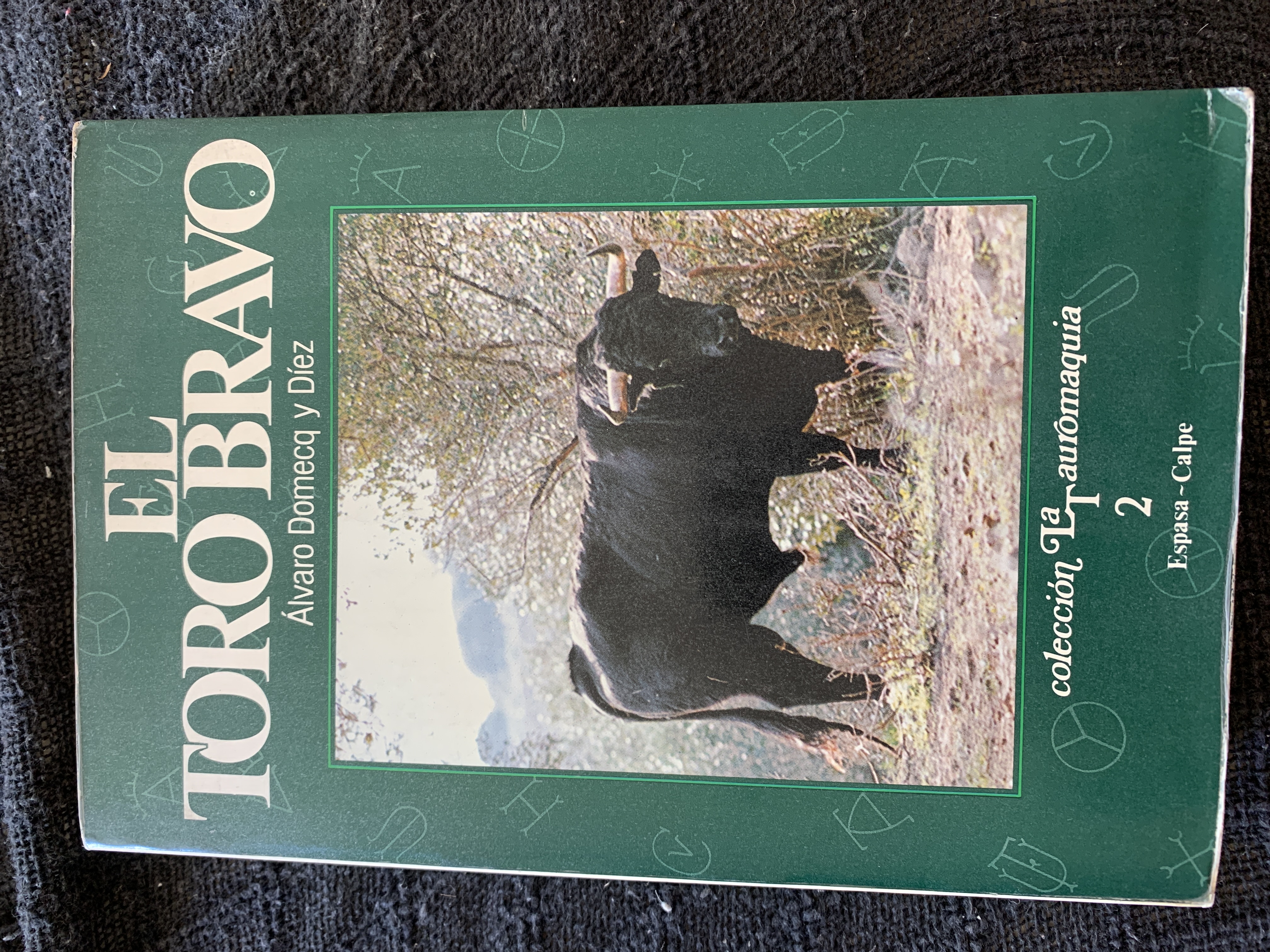 El Toro Bravo