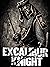 Excalibur Knight: A Voracio...