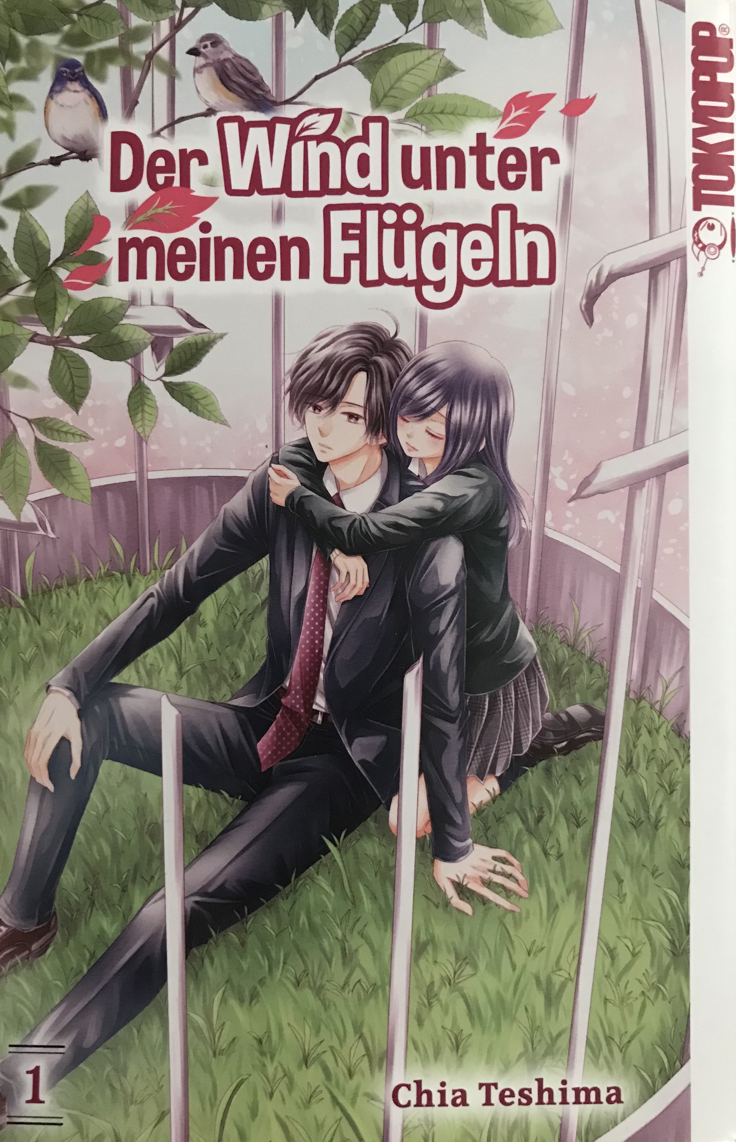 Der Wind unter meinen Flügeln 01 (Paperback)