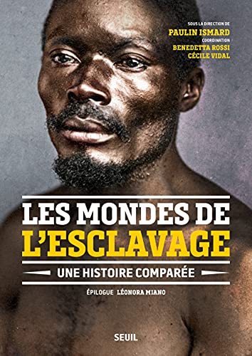Les Mondes de l'esclavage. Une histoire comparée (Hardcover)