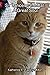 Sir Lancelot the Cat: A Great Soul