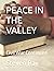 PEACE IN THE VALLEY: Civil War Continued
