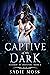 Captive of the Dark (Claimed by Monsters, #2)
