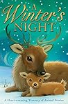 A Winter's Night by Alison Edgson