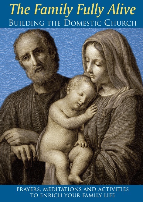 The Family Fully Alive: Building the Domestic Church (Unknown Binding)
