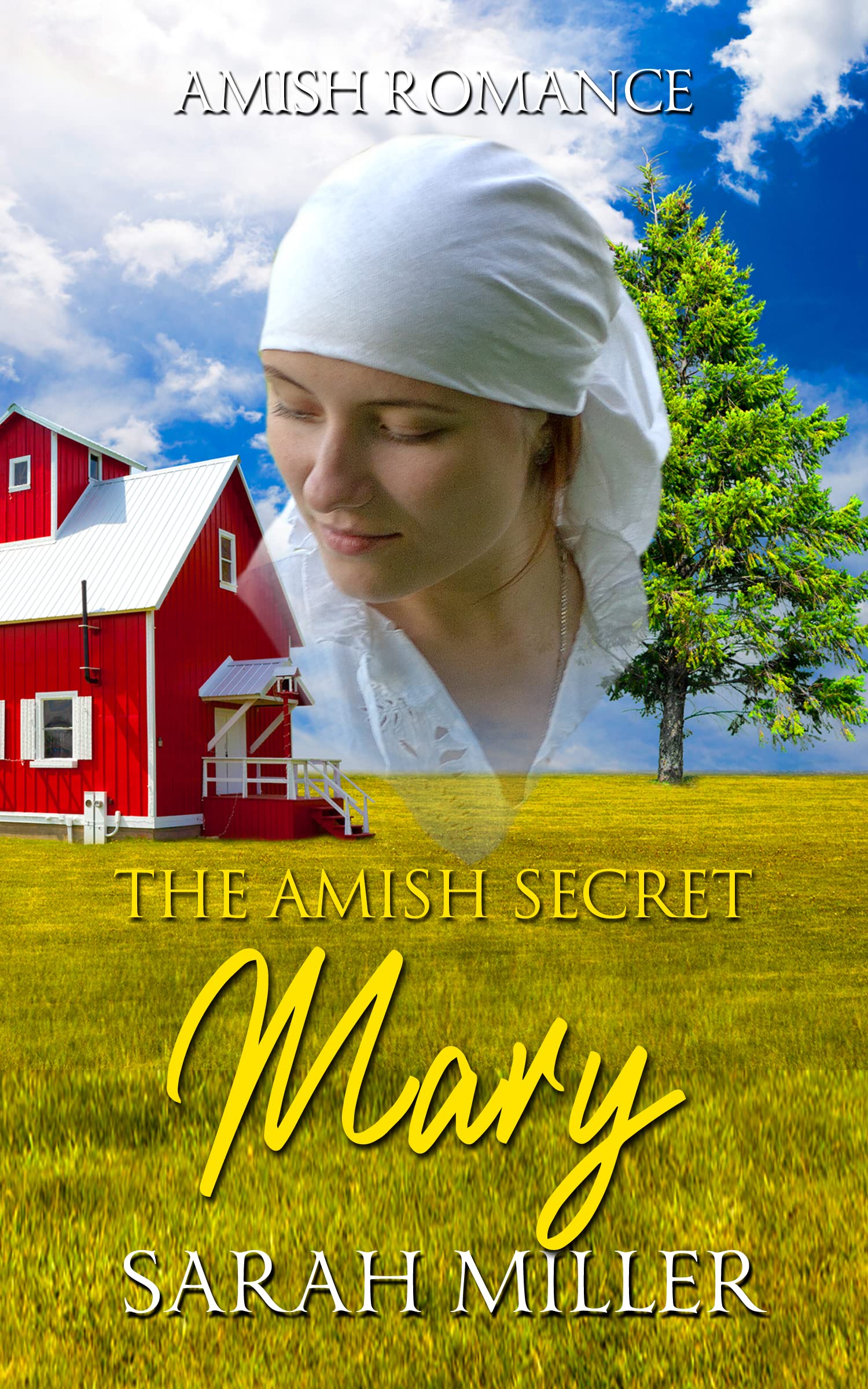Mary (The Amish Secret #1)
