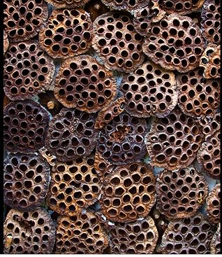 4th Dimension - Tesseract, 4th Dimension Made Easy - .