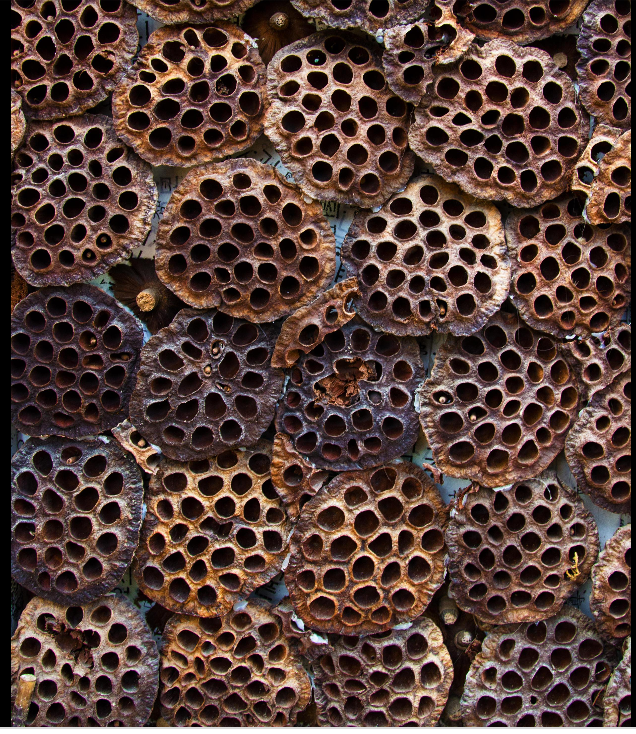 4th Dimension - Tesseract, 4th Dimension Made Easy - . (Unknown Binding)