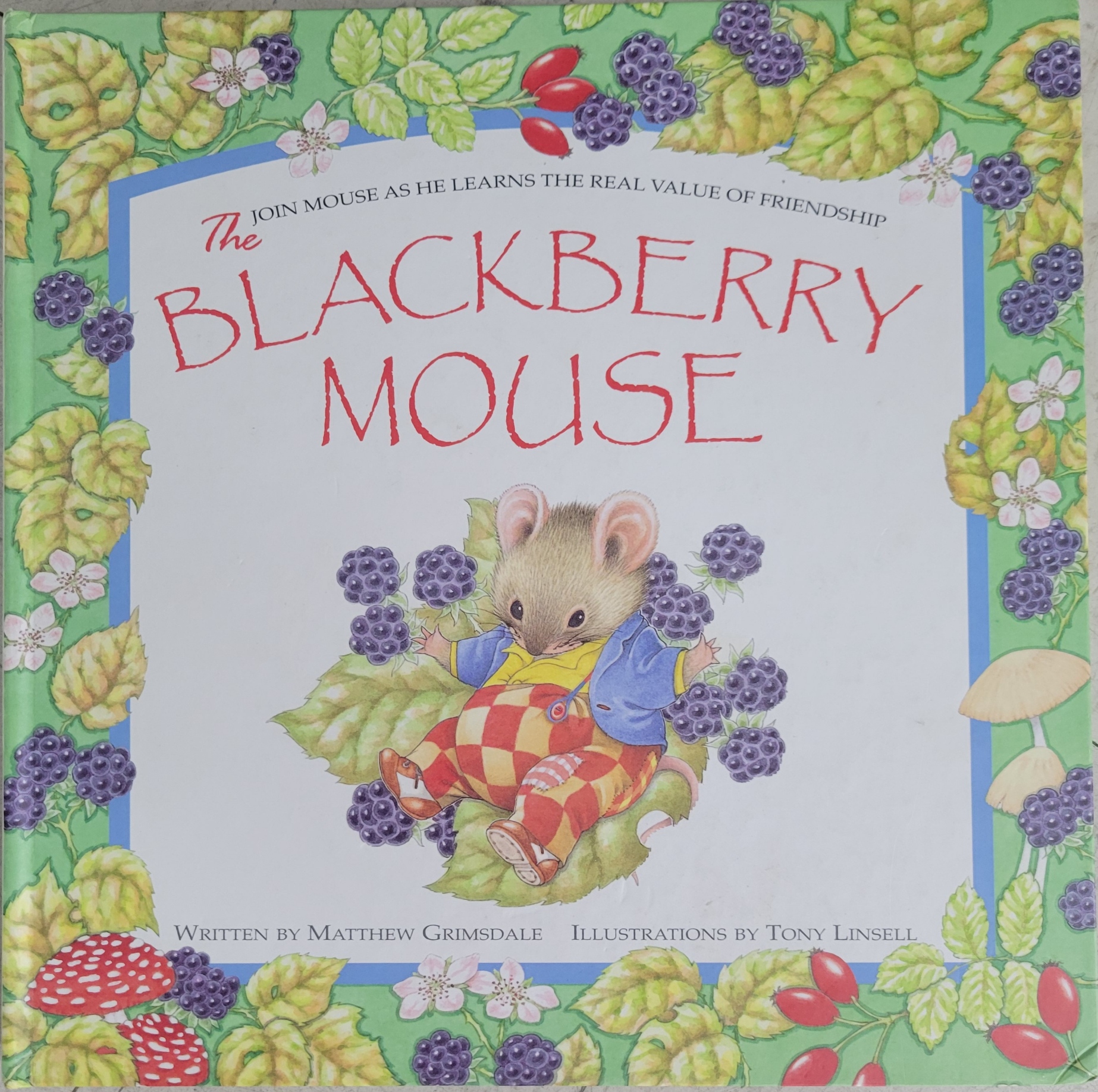 The Blackberry Mouse (Hardcover)