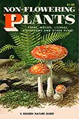 Non Flowering Plants: Ferns, Mosses, Lichens, Mushrooms and Other Fungi (A Golden Nature Guide)