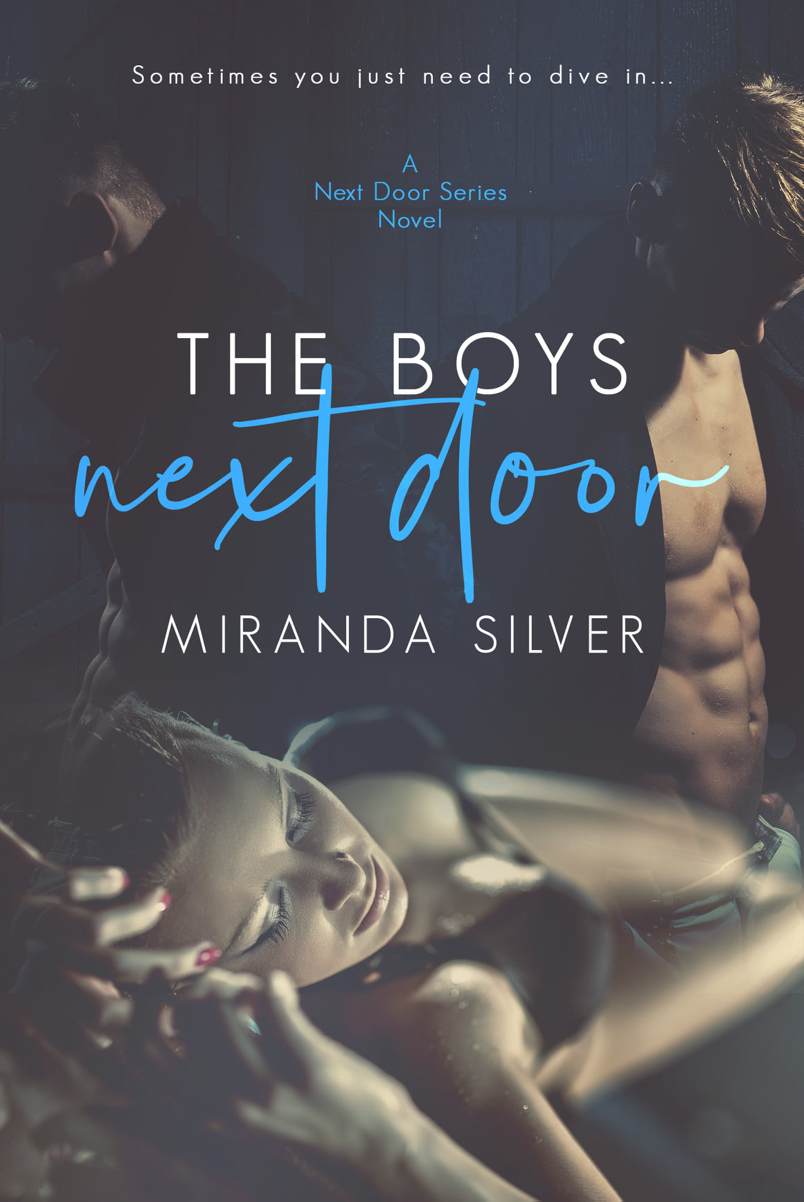 The Boys Next Door (Next Door, #1)