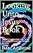 Looking Unto Jesus - Book 1 by Isaac Ambrose