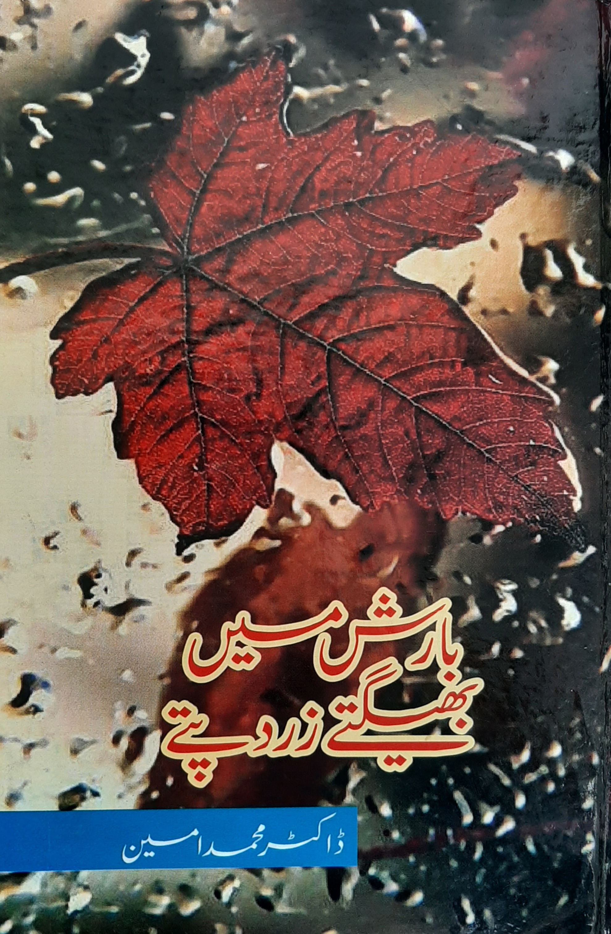Barish Mein Bheegtay Zard Pattay / بارش میں بھیگتے زرد پتے