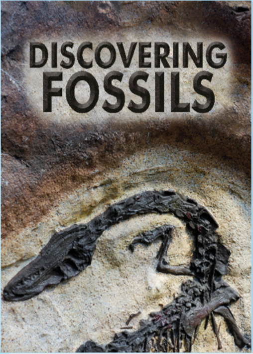Discovering Fossils