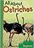 All About Ostriches (Beginner)
