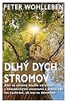Dlhý dych stromov