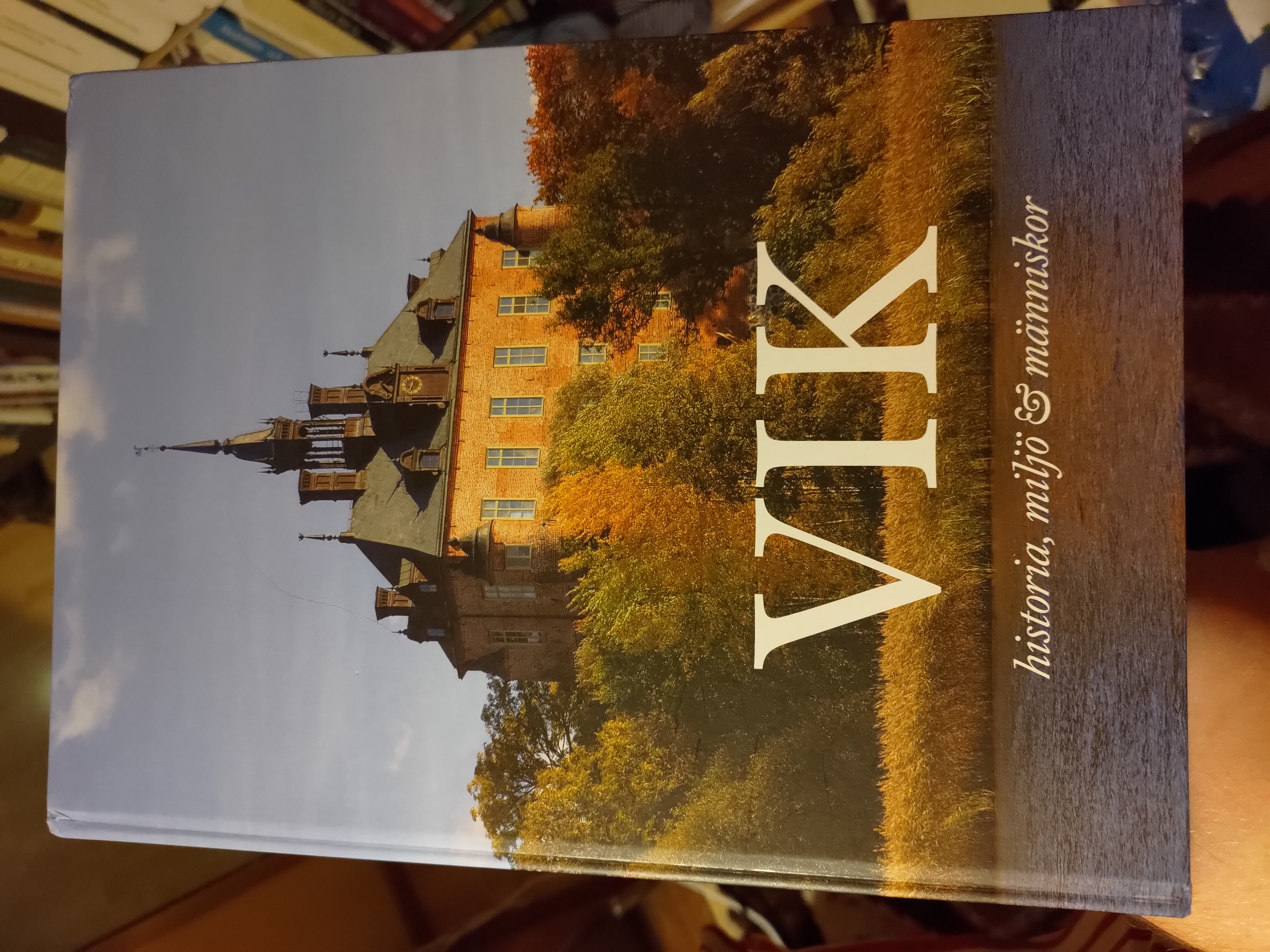 Vik historia miljö & människor
