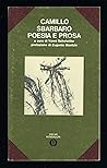 Poesia e prosa