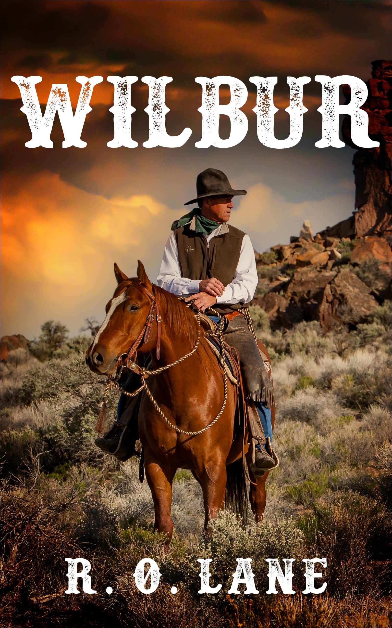 Wilbur (Kindle Edition)