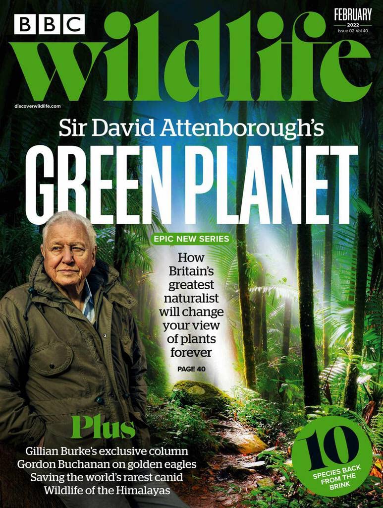BBC Wildlife Magazine (ebook)
