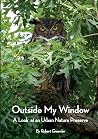 Outside My Window...