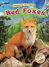 Red Foxes by Patrick Perish
