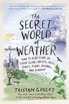 The Secret World ...