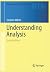 Understanding Analysis, second Edition