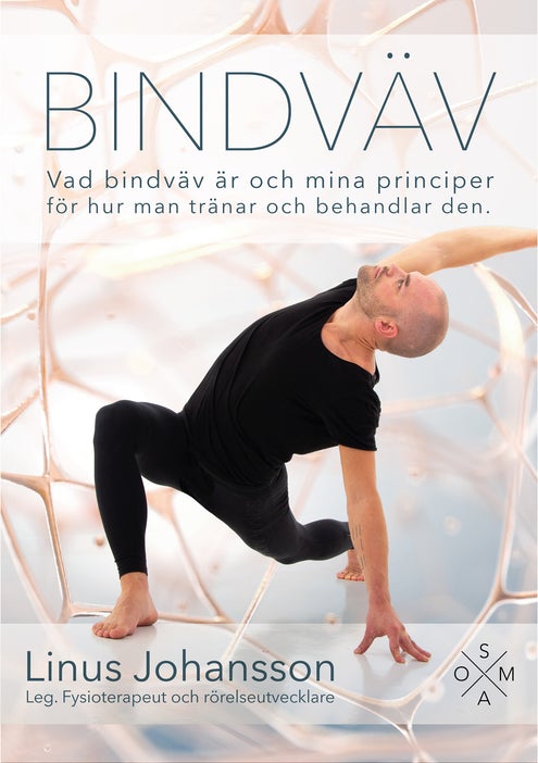 Bindväv (Paperback)