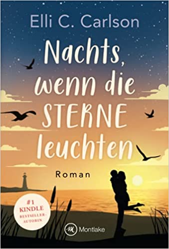Nachts, wenn die Sterne leuchten (Liebe am Meer, #3)
