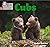 Big Cat Phonics for Little Wandle Letters and Sounds Revised ... by Sasha Morton
