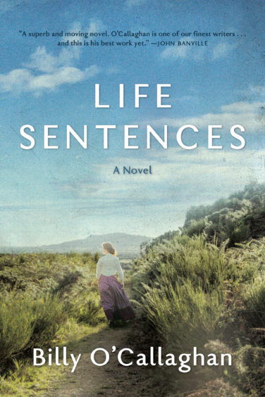 Life Sentences (Hardcover)