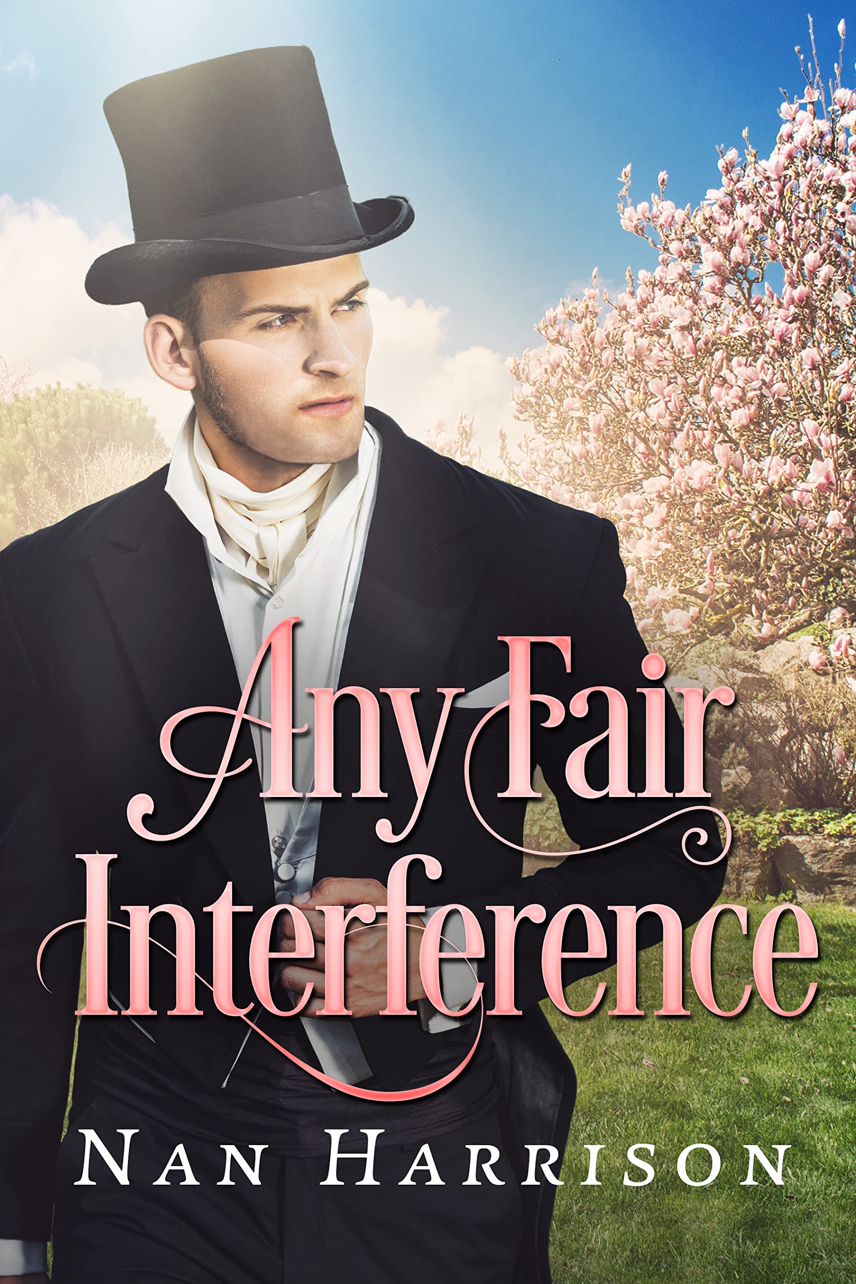 Any Fair Interference (Kindle Edition)