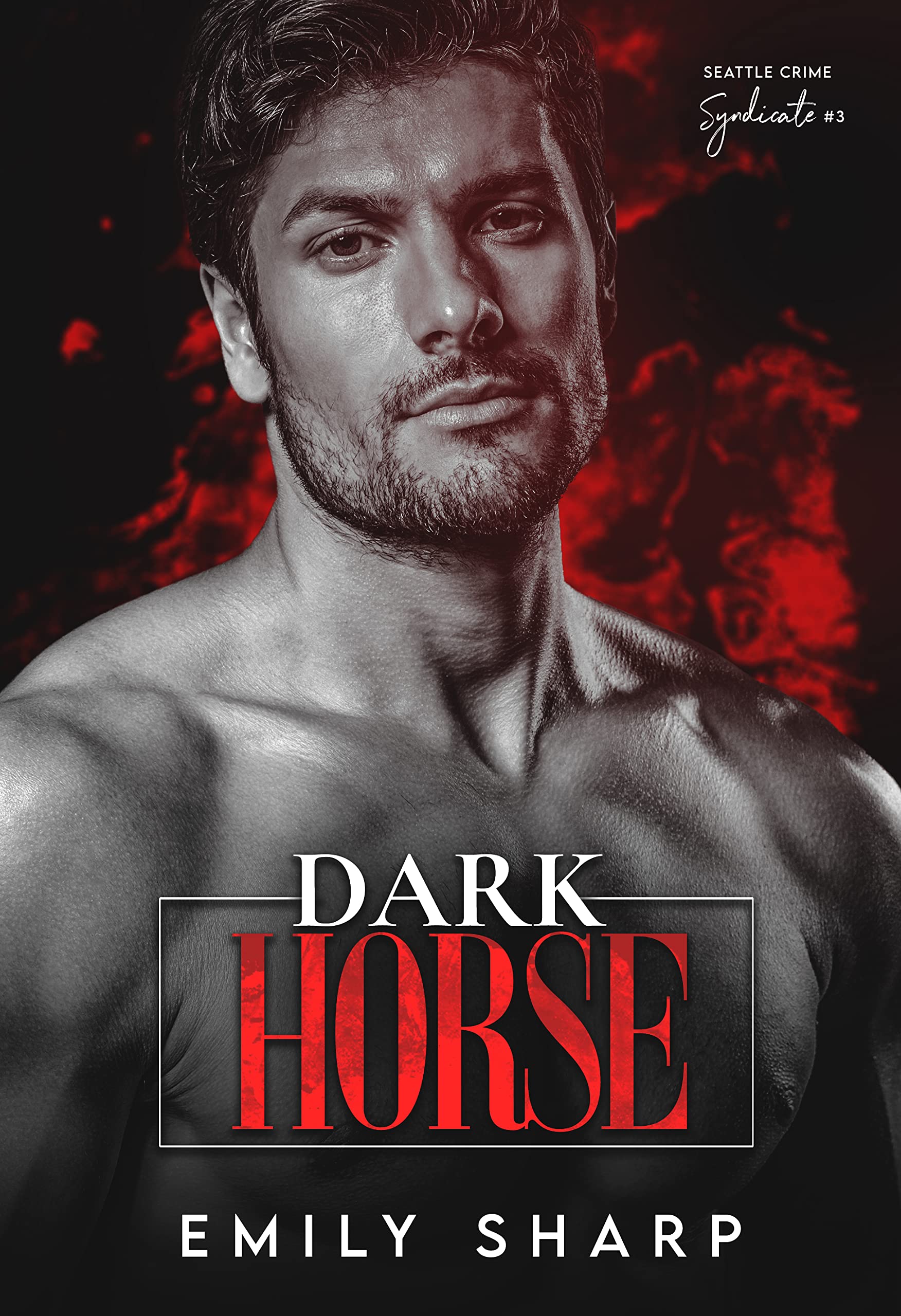 Dark Horse (Seattle Crime Syndicate #3)