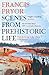 Scenes from Prehistoric Life: From the Ice Age to the Coming of the Romans