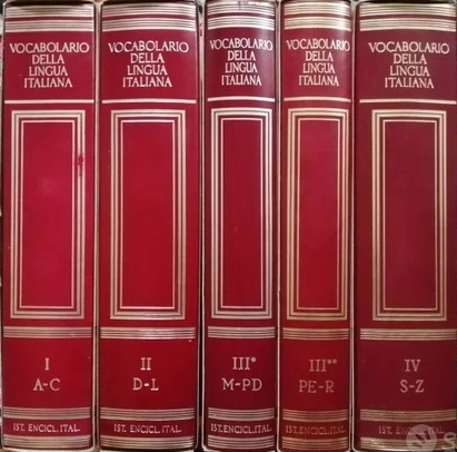 Vocabolario della lingua italiana Treccani (Hardcover)