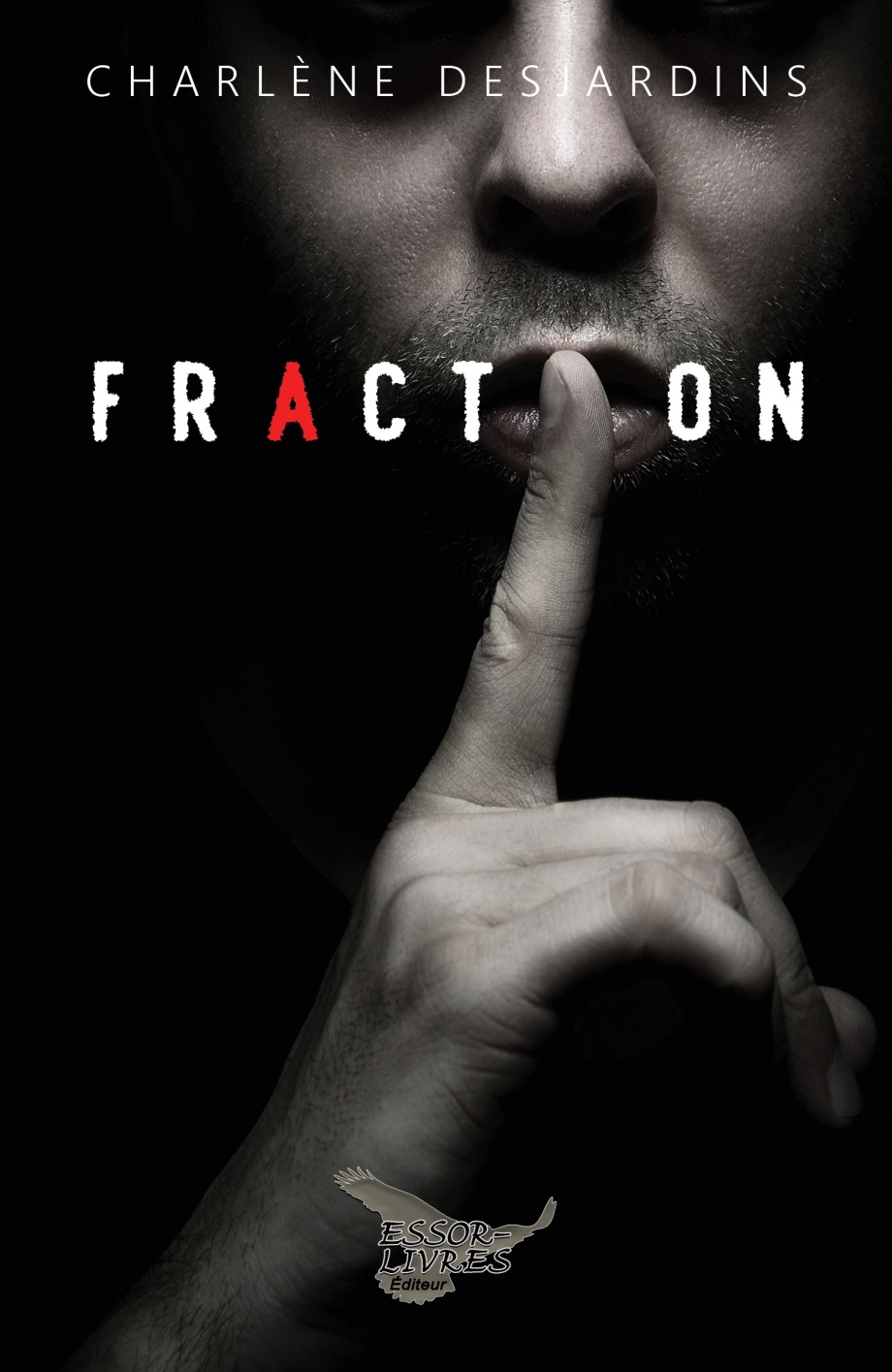 Fraction (Paperback)