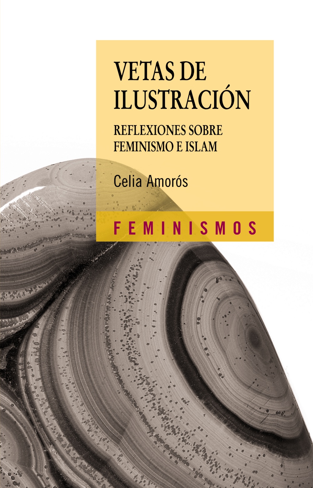 Vetas de Ilustración: Reflexiones sobre feminismo e Islam (Paperback)