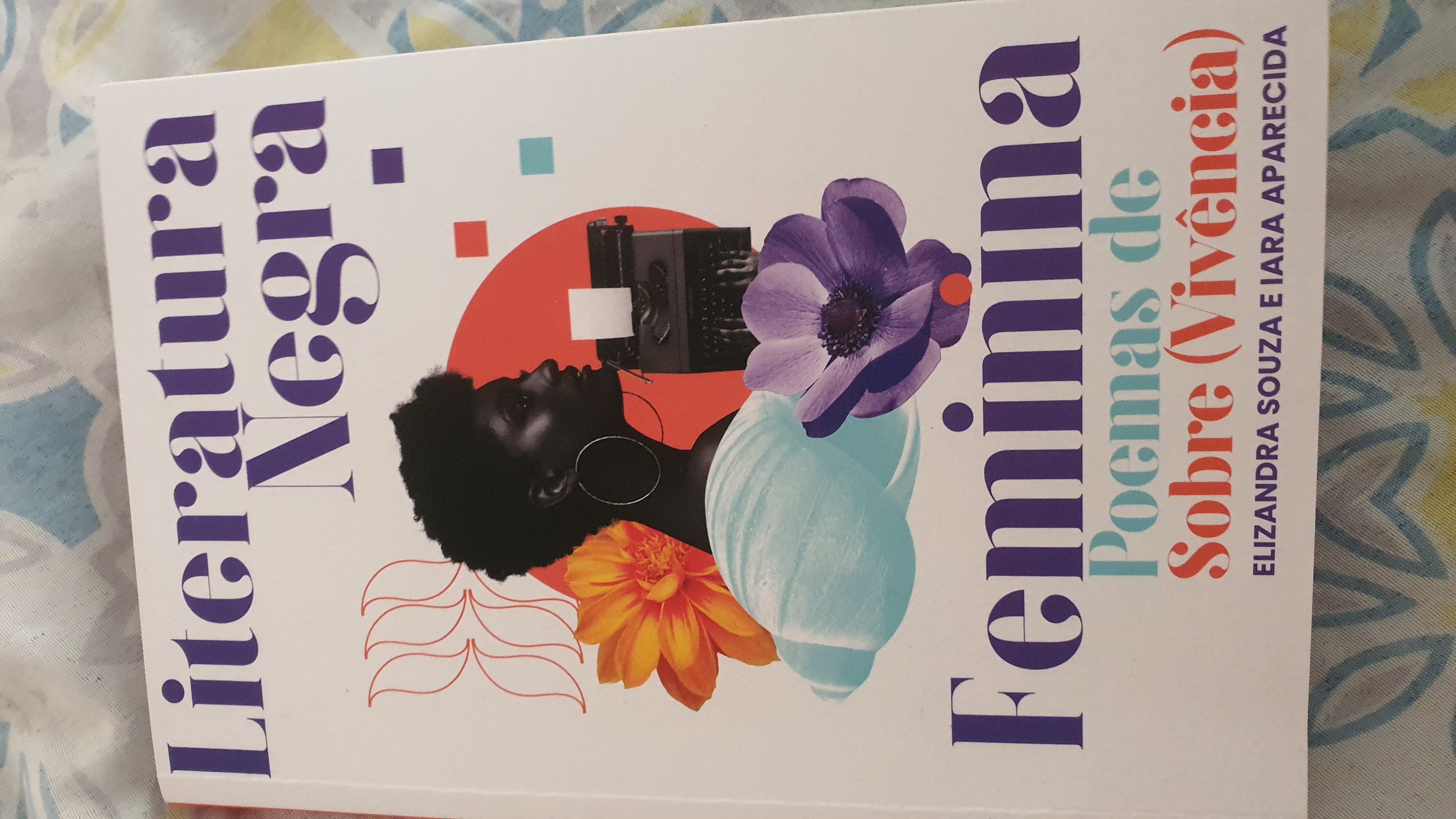 Literatura Negra Feminina Poemas de Sobre(Vivência)