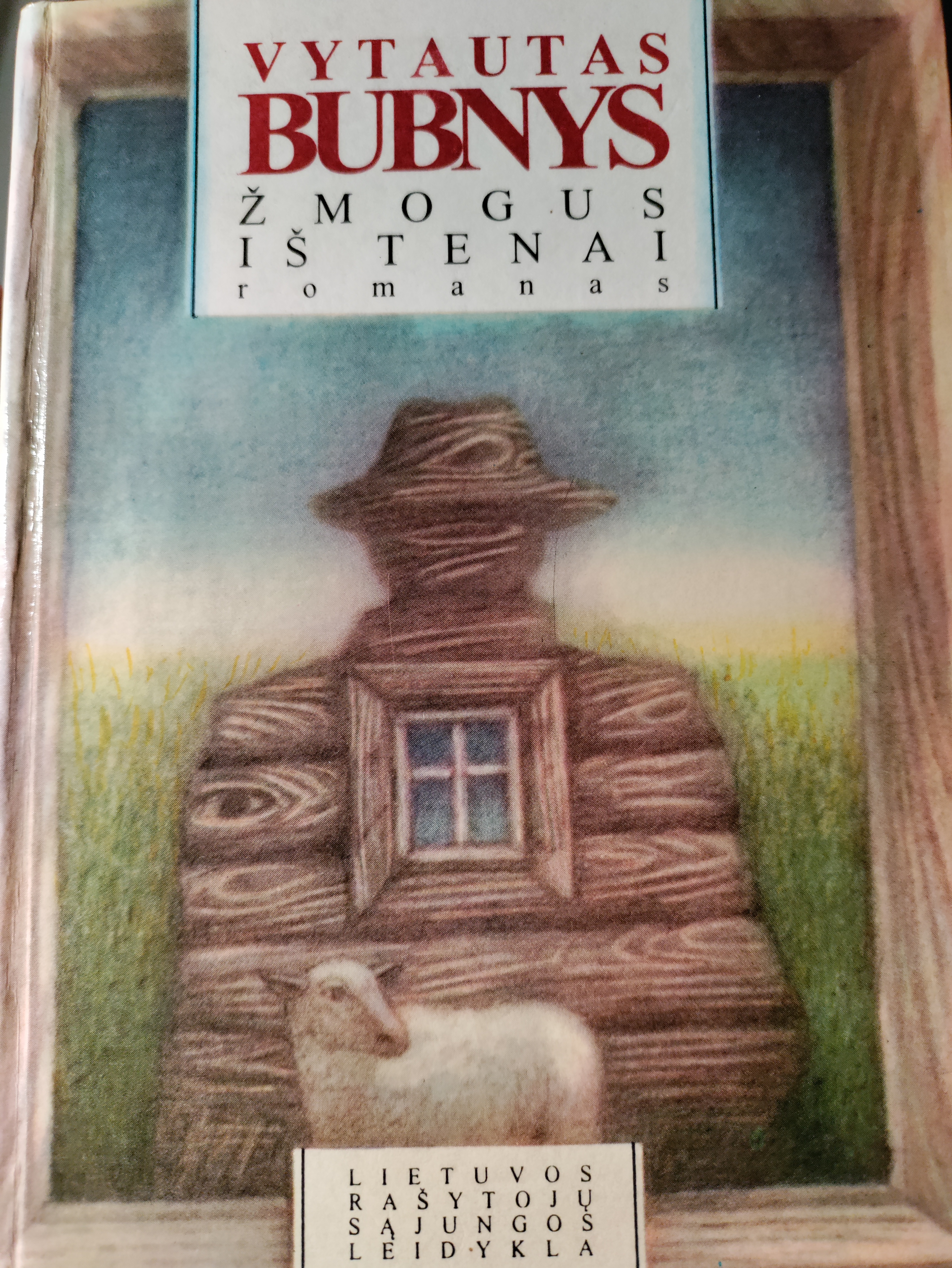 Žmogus iš tenai (Hardcover)